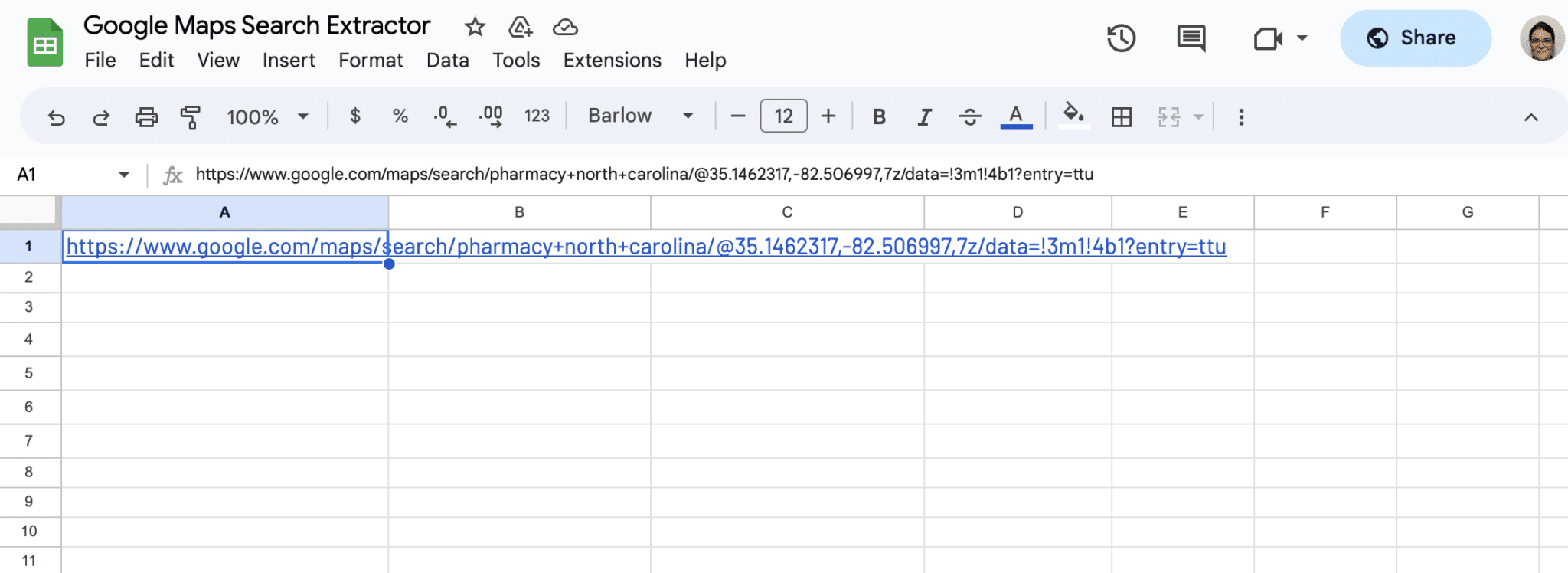 Input Google Maps search URL